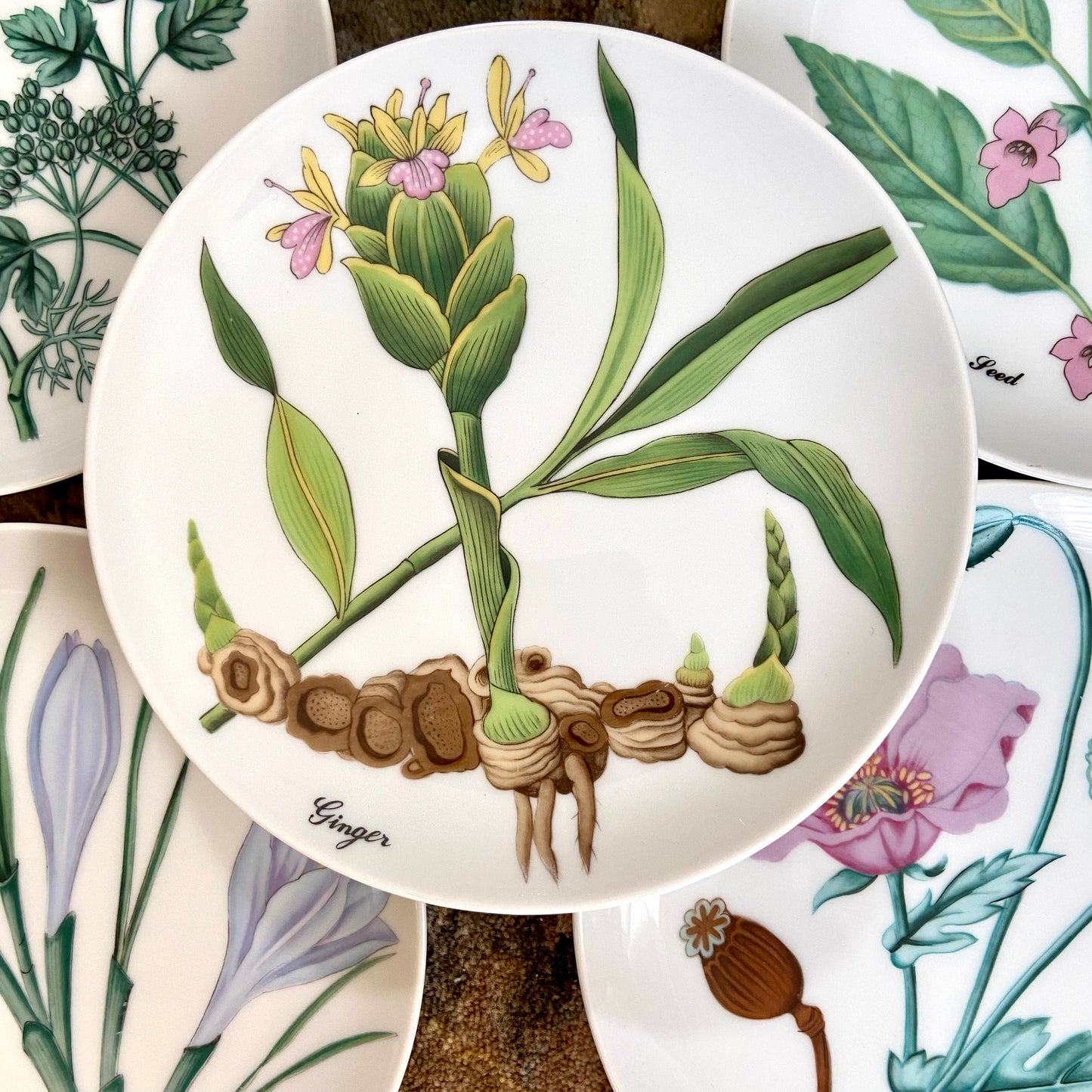 Designer Horchow for Neiman Marcus set of 6 botanical plates