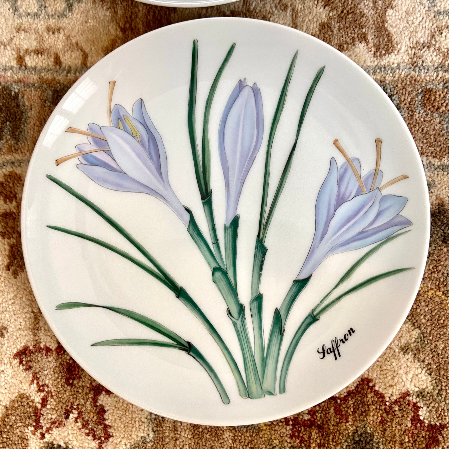 Designer Horchow for Neiman Marcus set of 6 botanical plates