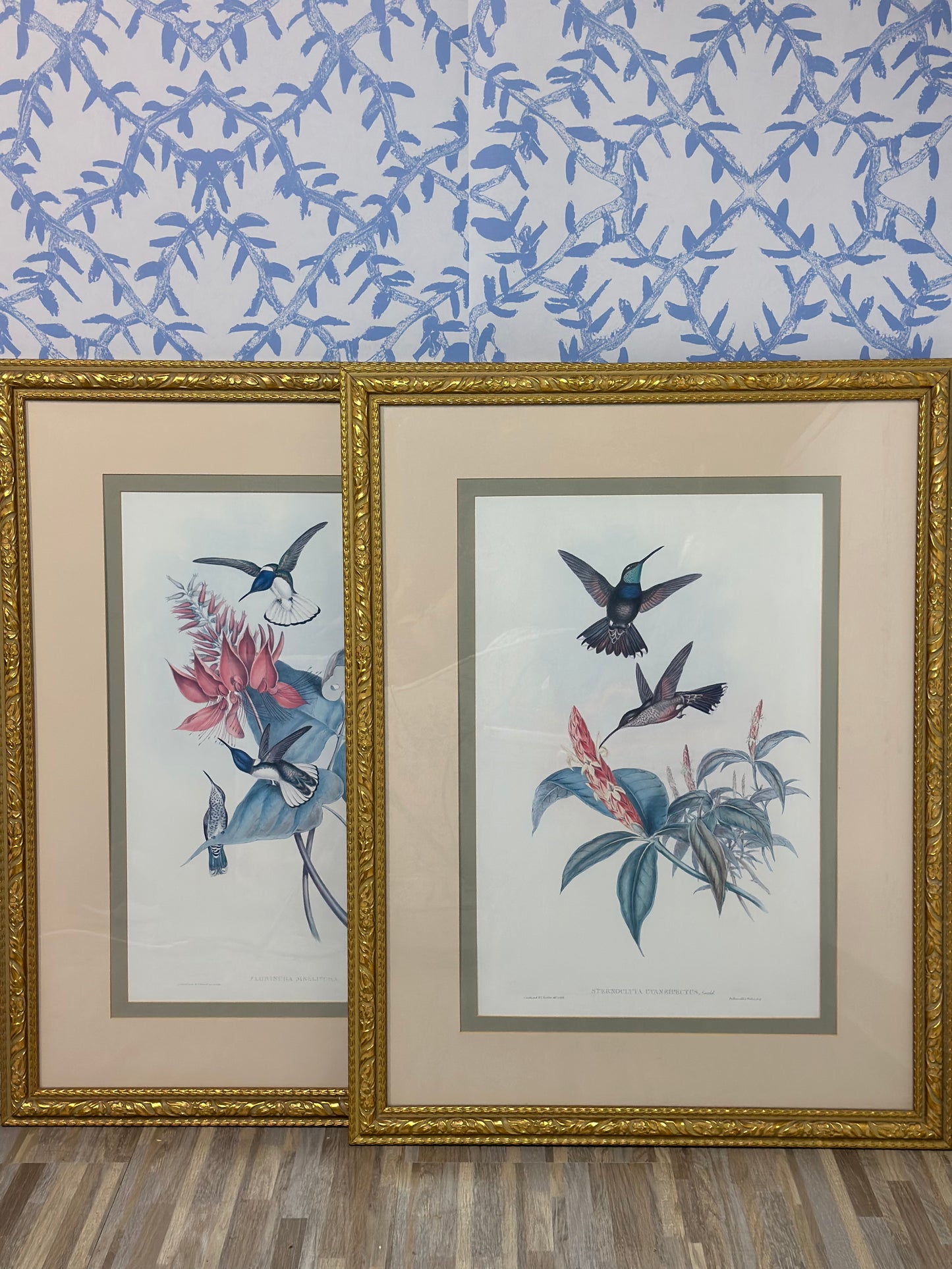 Vintage Pair (2) Framed Hummingbird Prints, Gold Framed 35x27" - Pristine!