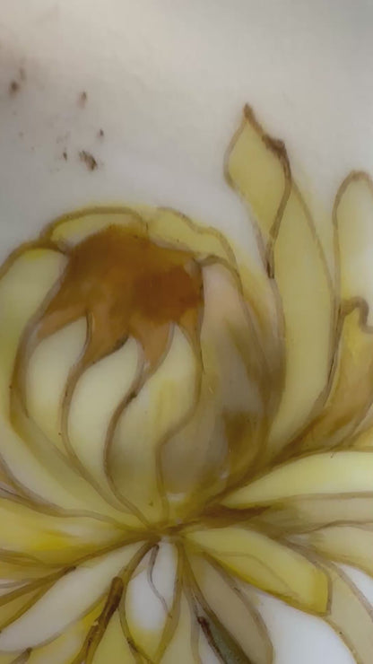 GORGEOUS Pair Antique Hand Painted Limoges Cabinet Plates, Made in France, 9.25"