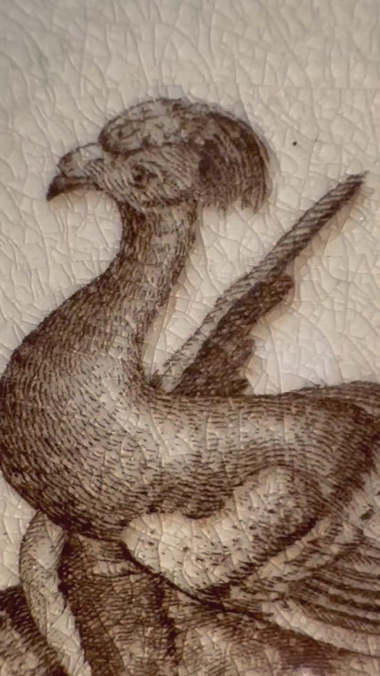 Late 19th Century Wedgwood "Lag & Feather" Brown Transferware Plates Pair, Made in England, 10"