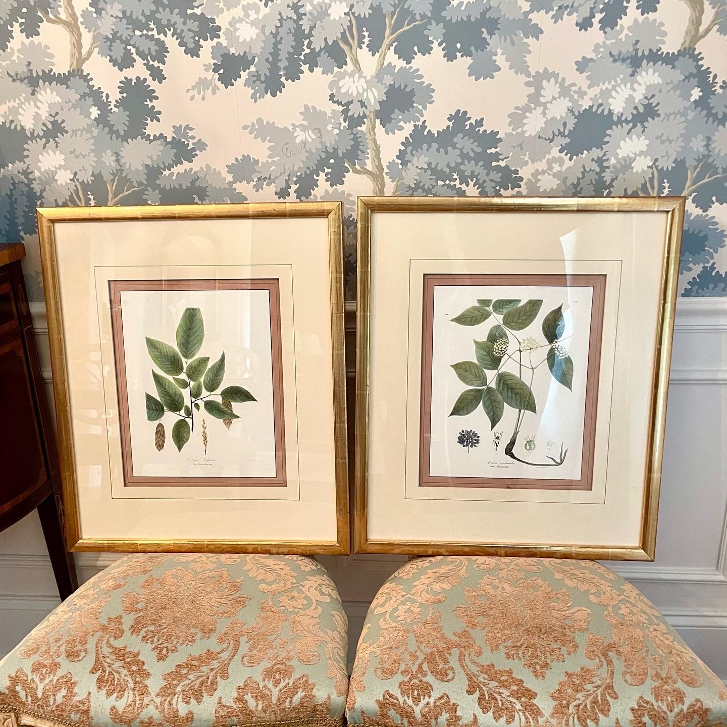 Gorgeous Pair (2) Large Botanical Framed Prints In Beautiful Gold Gilt Frames!