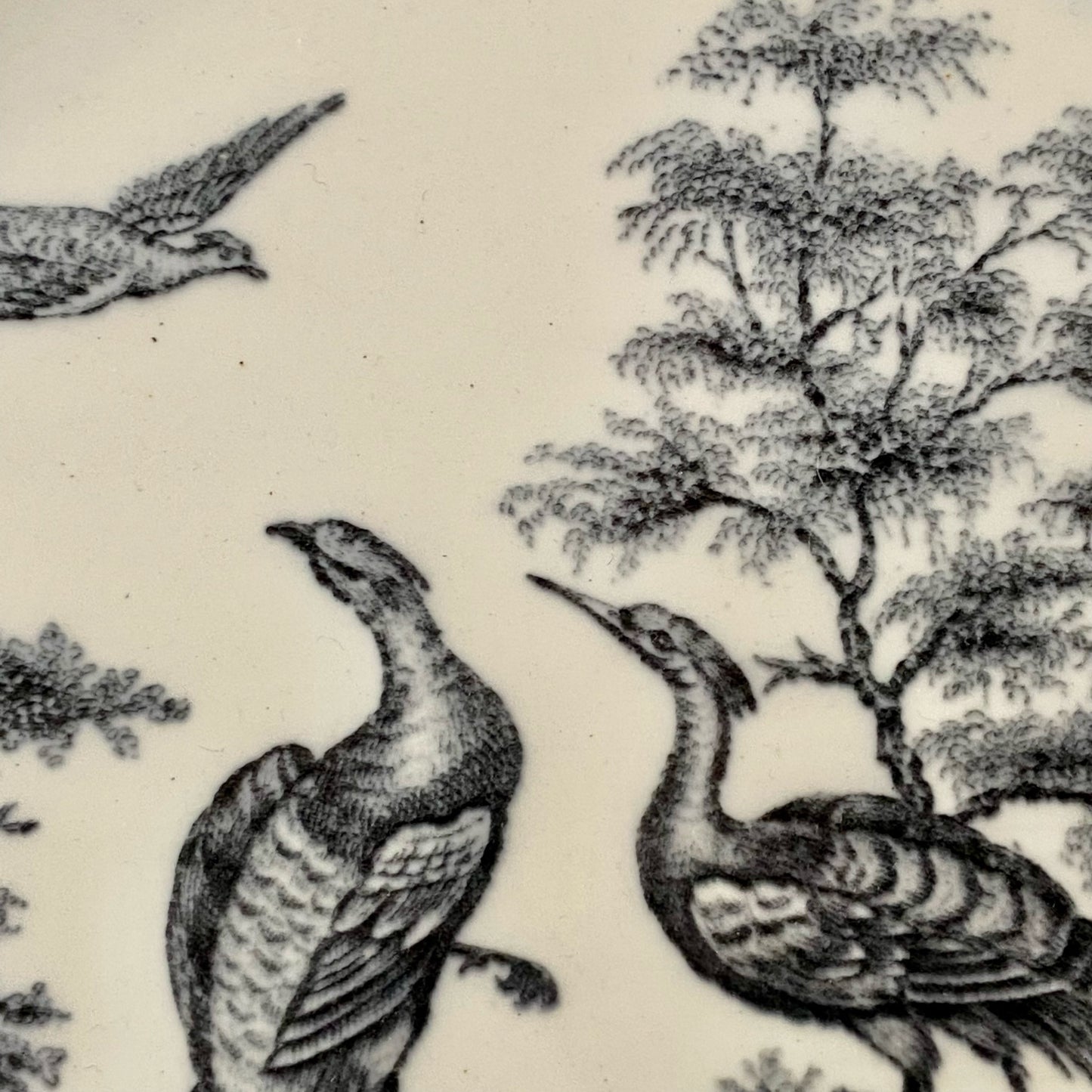 Vintage WEDGWOOD “Liverpool Birds” porcelain plate.