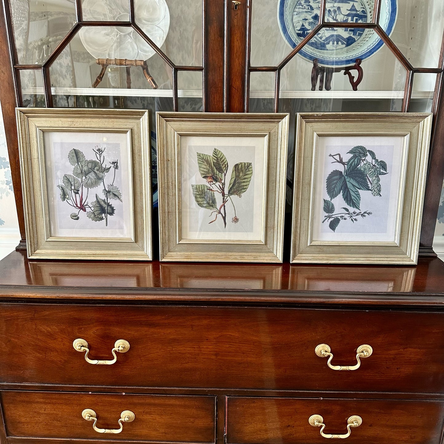 Vintage Set (3) Designer Botanical Prints Framed, 13x11” Pristine!