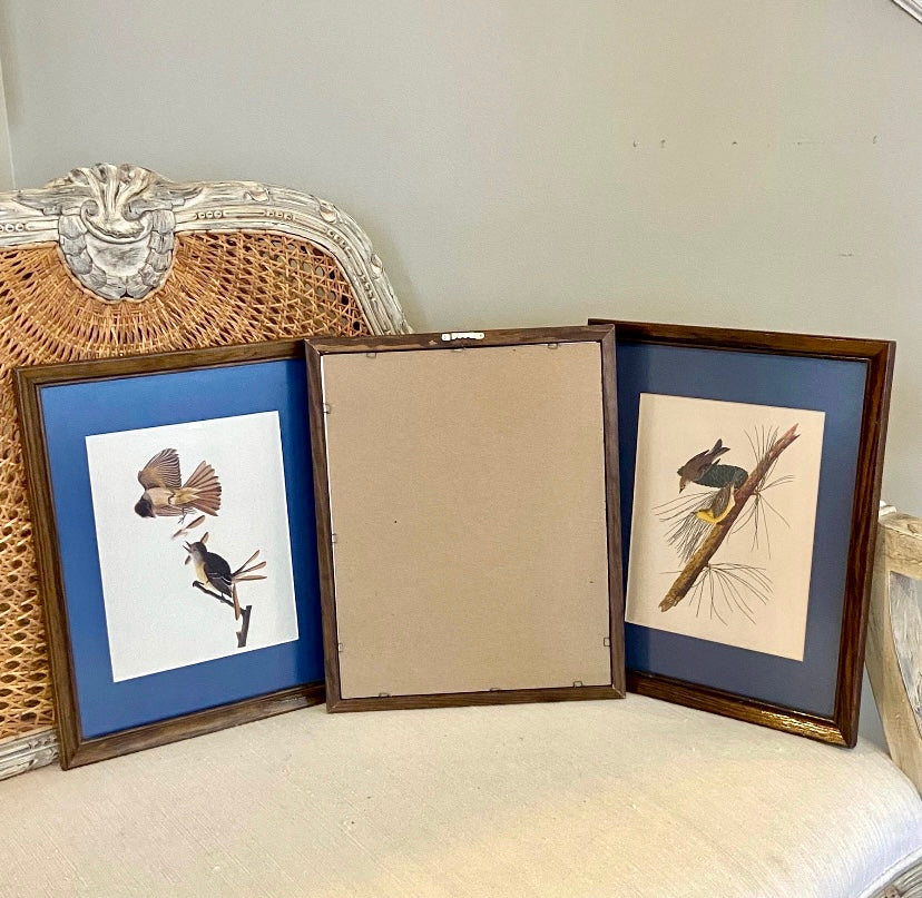 Trio 3 set of vintage framed Audubon bird  lithograph prints wall art
