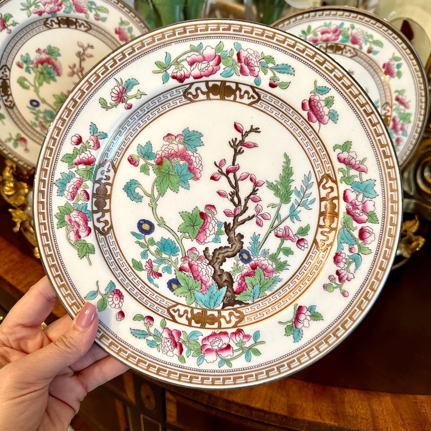 Set of 3 Vintage Royal Doulton Indian Tree Plates, 1 Shallow Bowl